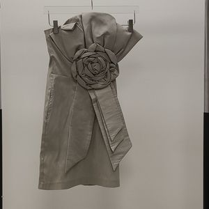Silver taffeta like short dress